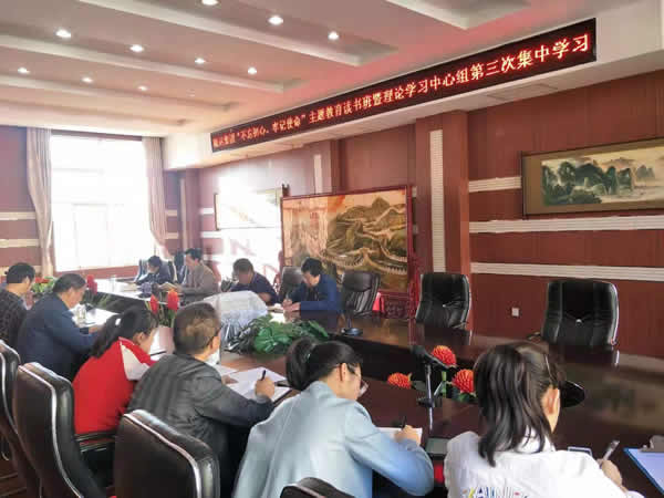 隴運(yùn)集團(tuán)公司召開“不忘初心、牢記使命”主題教育讀書班暨理論學(xué)習(xí)中心組第三次、第四次集中學(xué)習(xí)會議